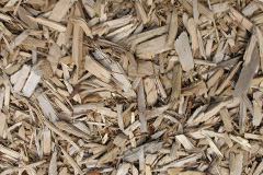 biomass boilers Woods Eaves
